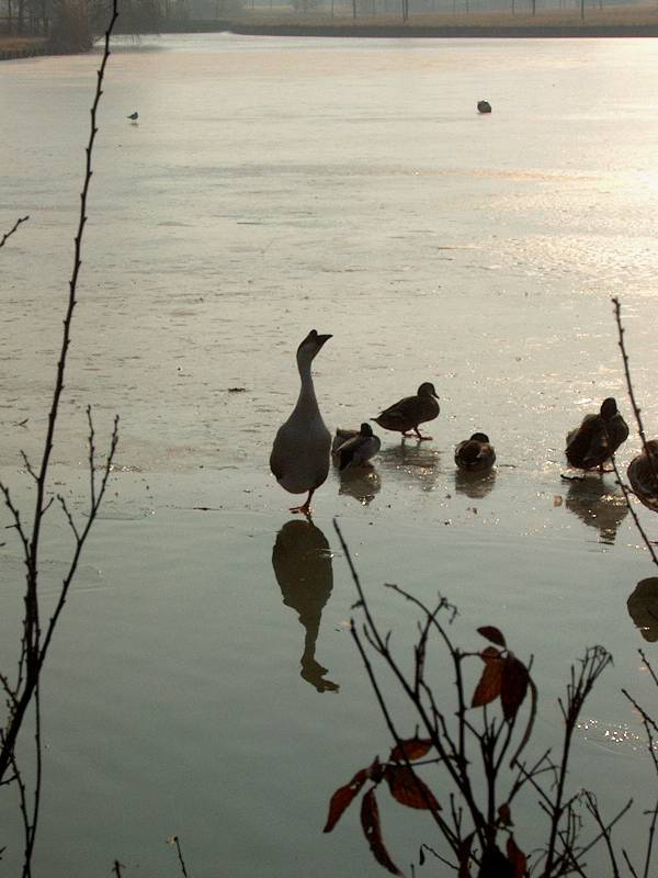 IM000304.JPG, 13/01/02, 53 kB