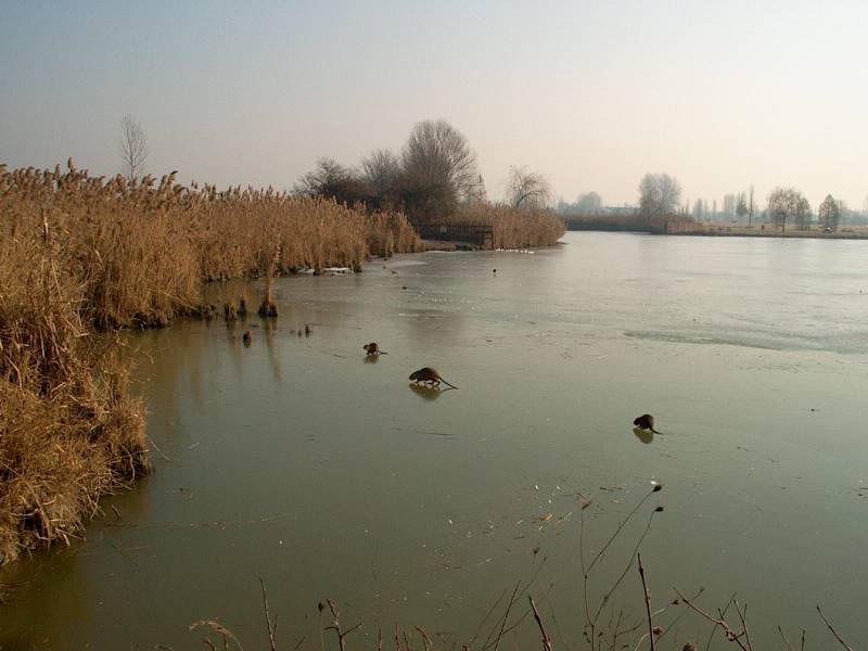 IM000305.JPG, 13/01/02, 42 kB