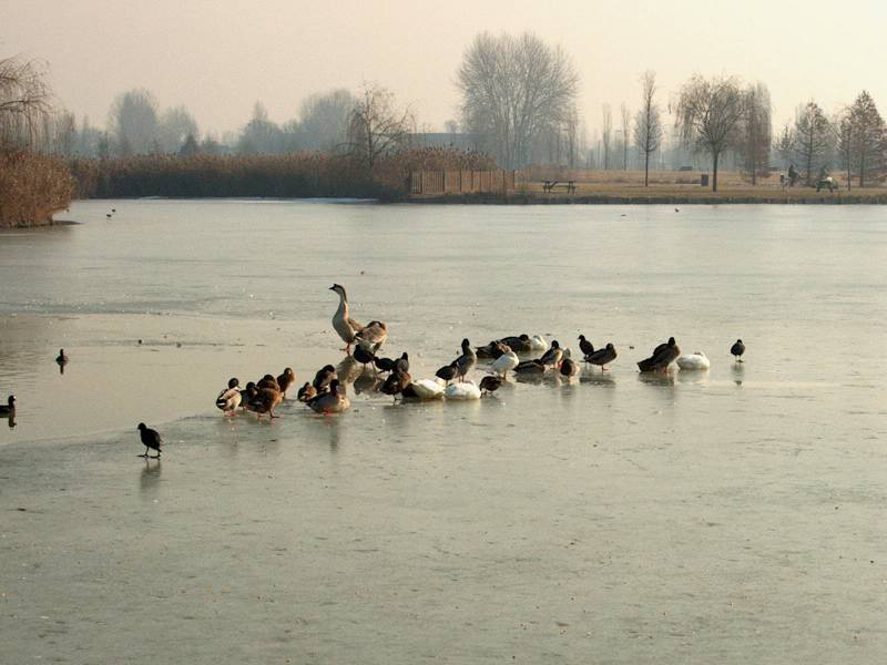 IM000308.JPG, 13/01/02, 49 kB