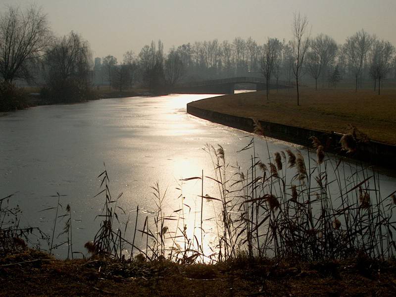 IM000310.JPG, 13/01/02, 72 kB