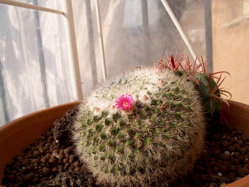 IM000343.JPG, 29/10/01, 76 kB