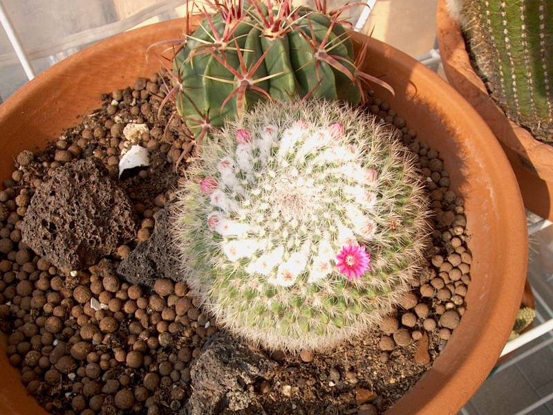 IM000344.JPG, 29/10/01, 104 kB