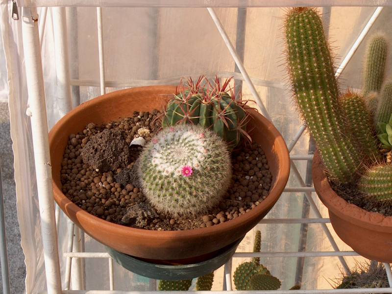 IM000347.JPG, 29/10/01, 76 kB