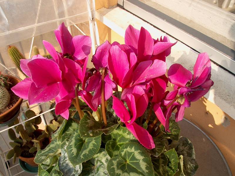 IM000348.JPG, 29/10/01, 80 kB