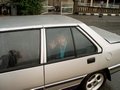 Im001242.jpg