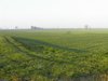 DSC00043.JPG