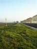DSC00045.JPG