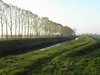 DSC00046.JPG