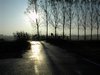 DSC00047.JPG
