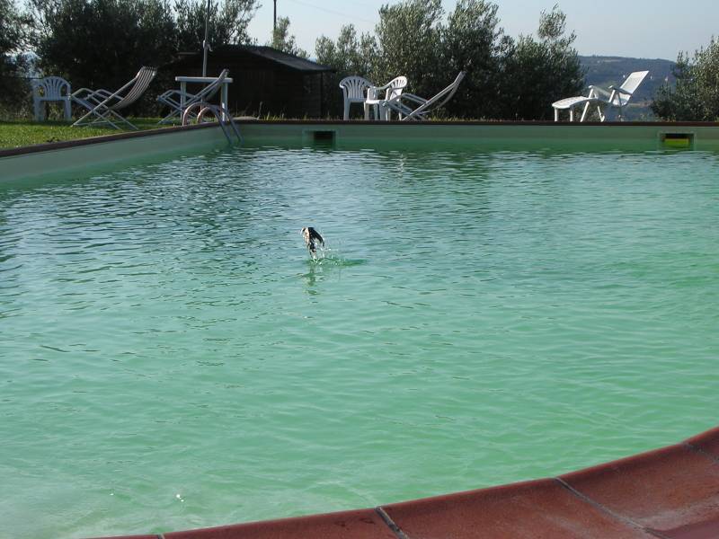DSCN3219.JPG