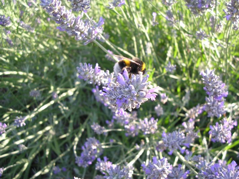 DSCN3223.JPG