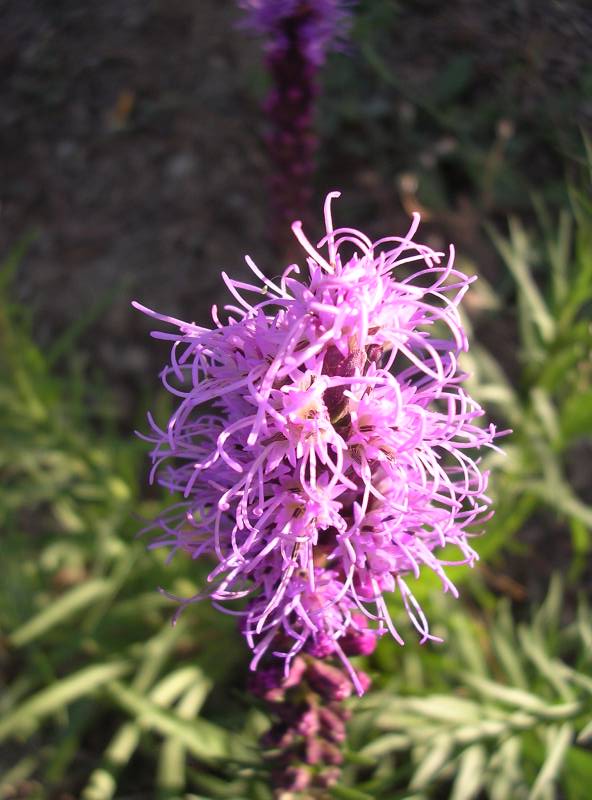 DSCN3228.JPG