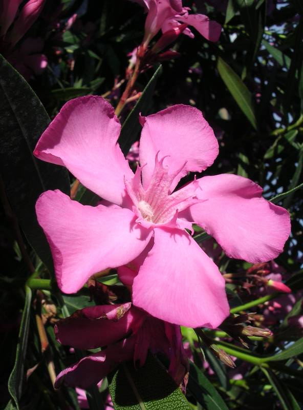 DSCN3232.JPG