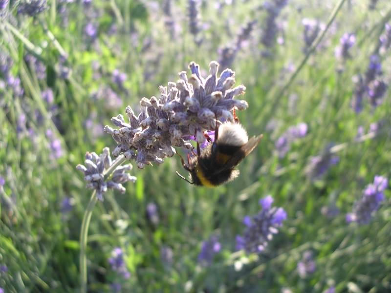 DSCN3238.JPG