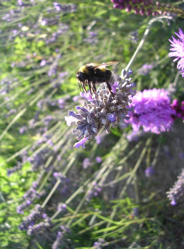 DSCN3239.JPG