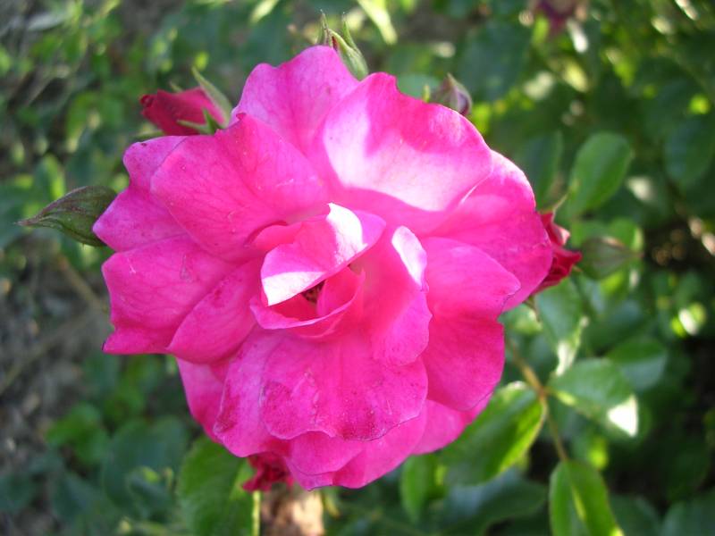 DSCN3244.JPG