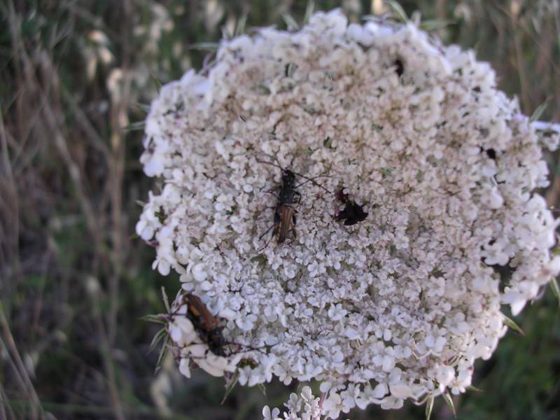 DSCN3250.JPG