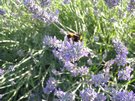 DSCN3223.JPG