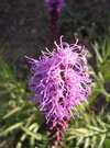 DSCN3228.JPG