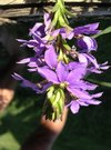 DSCN3229.JPG