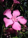 DSCN3232.JPG