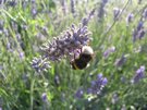 DSCN3238.JPG