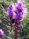 DSCN3240.JPG