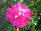 DSCN3244.JPG