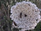 DSCN3250.JPG