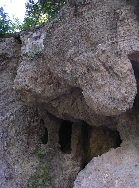 DSCN3190.JPG