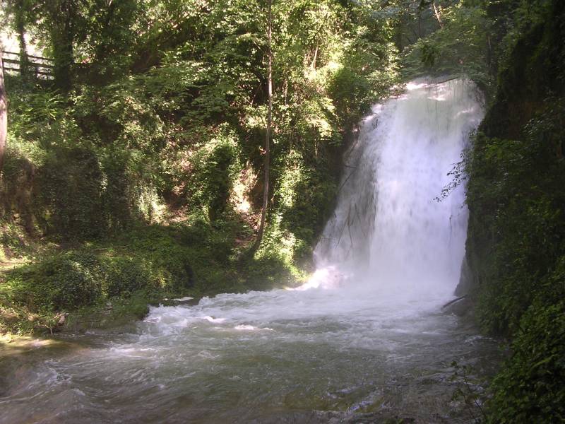 DSCN3194.JPG