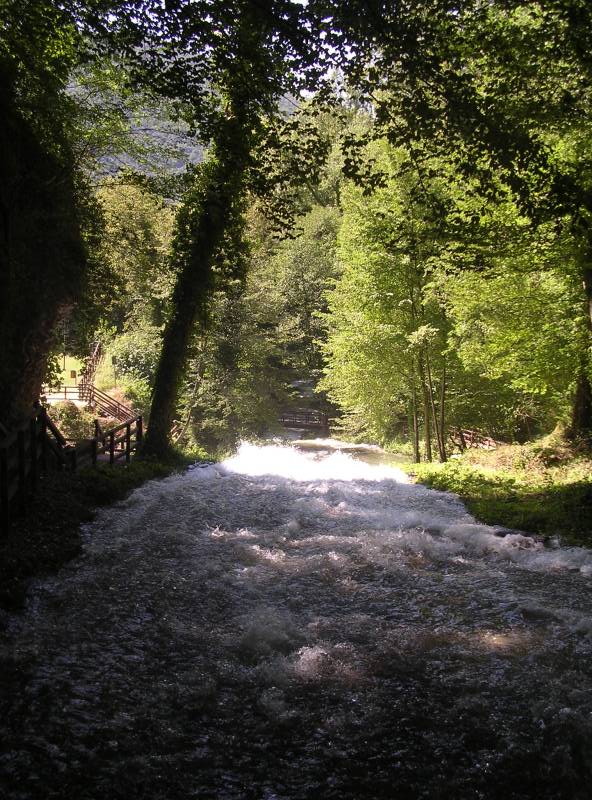 DSCN3195.JPG