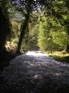 DSCN3195.JPG
