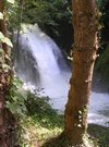 DSCN3196.JPG