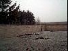 Nevica!.JPG