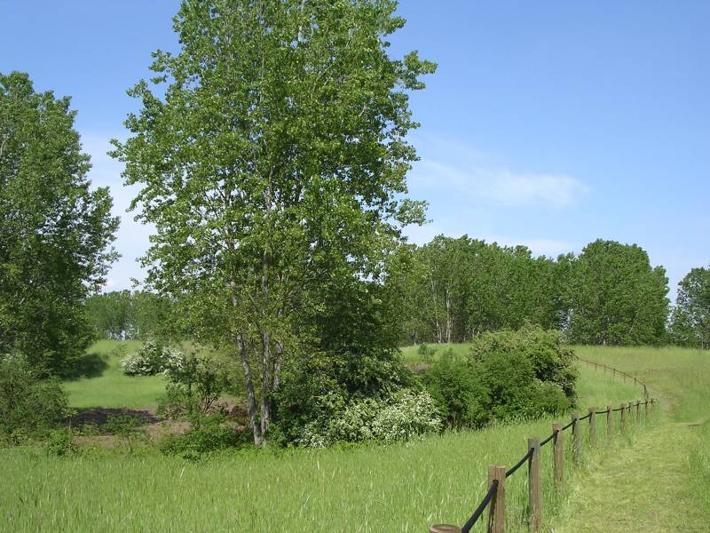 DSCN2750.JPG