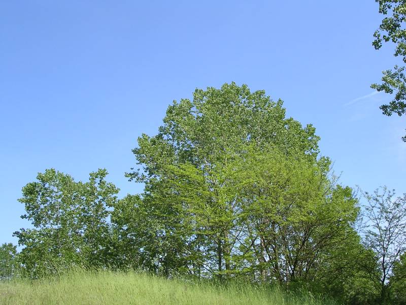 DSCN2751.JPG