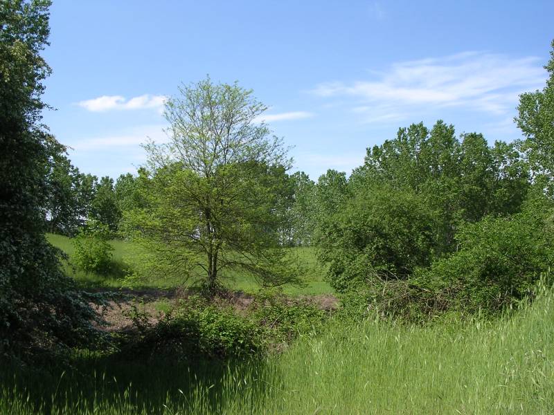 DSCN2752.JPG