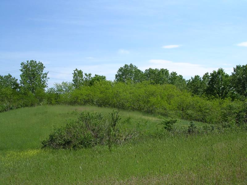 DSCN2754.JPG