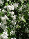 DSCN2745.JPG