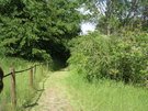 DSCN2747.JPG