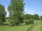 DSCN2750.JPG