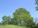 DSCN2751.JPG