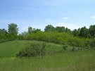 DSCN2754.JPG