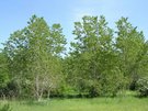 DSCN2755.JPG