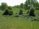DSCN2760.JPG