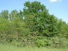 DSCN2761.JPG