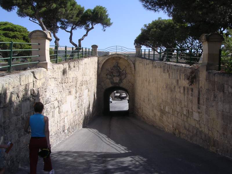 DSCN3377.JPG