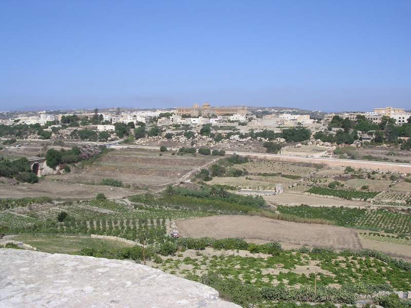 DSCN3390.JPG
