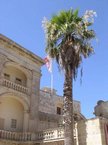 DSCN3422.JPG